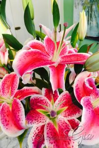 5 ways to refresh your home's January decor