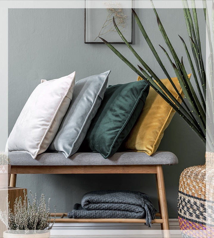 New accent pillows. New accent pillows.