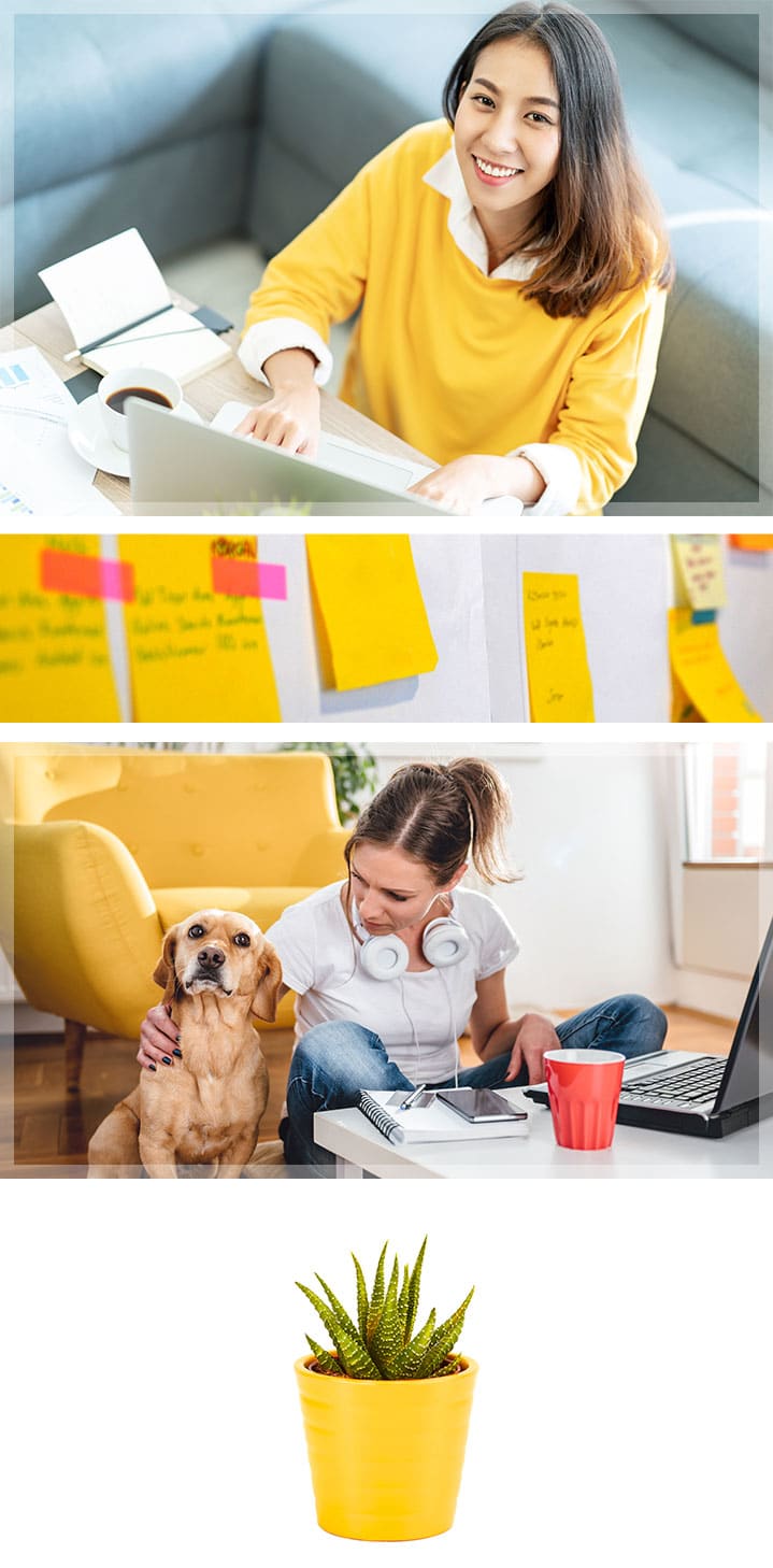 How to create the perfect environment for working from home.