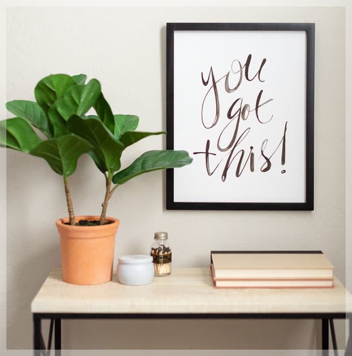 Adding Houseplants To Your Decor