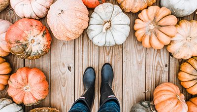 Early Fall Decor