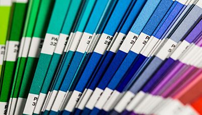 Should You Stay In Your Color Comfort Zone Or Explore New Possibilities?