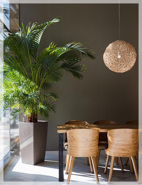 content images 6 Ways To Refresh Your Dining Room Before Your Next Dinner Party 01 Add rich color.