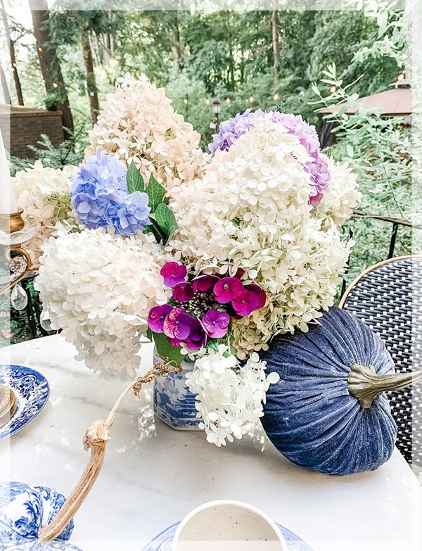 Add rich color.