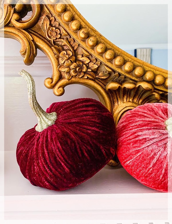 Add rich color.
